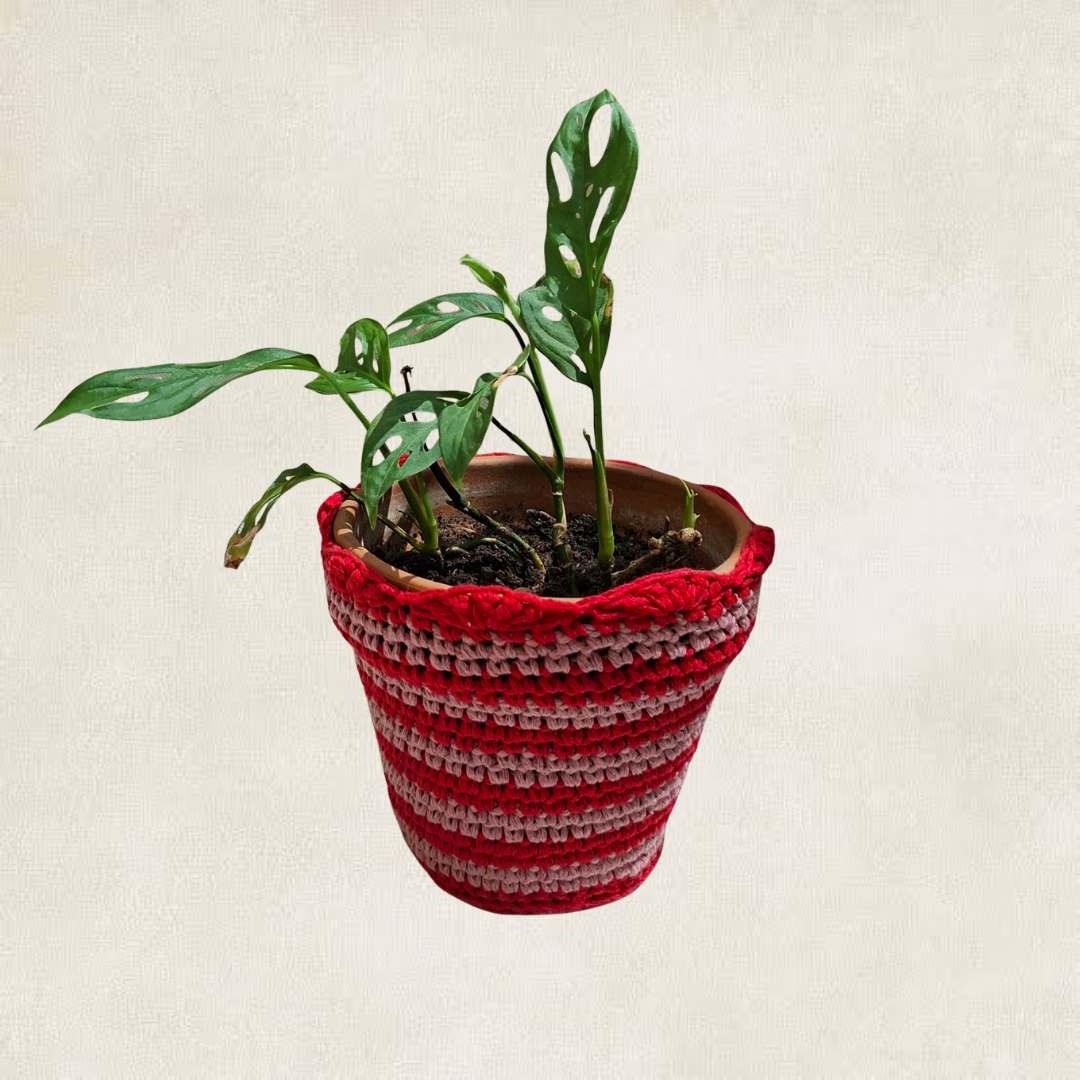 Cache-pot rayé en crochet