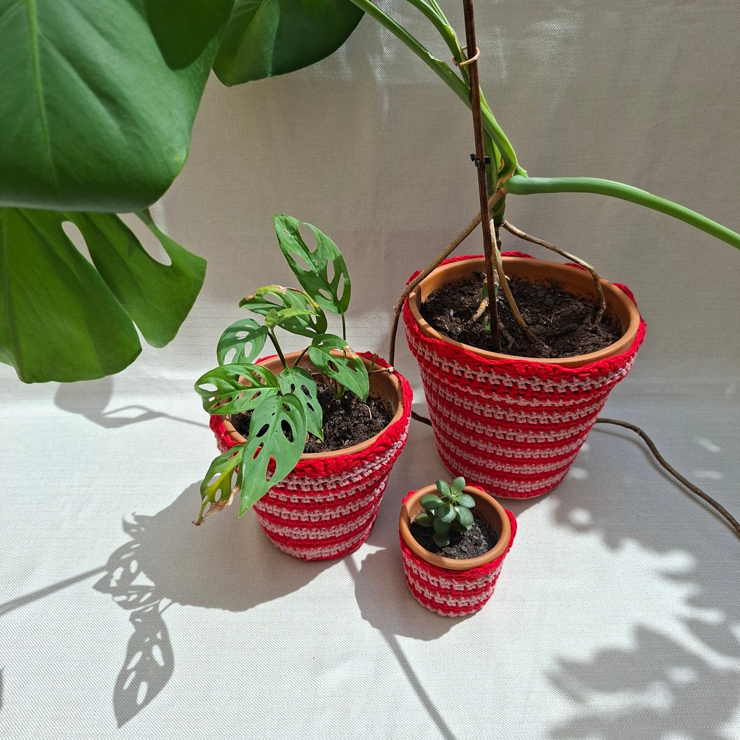 Cache-pot rayé en crochet