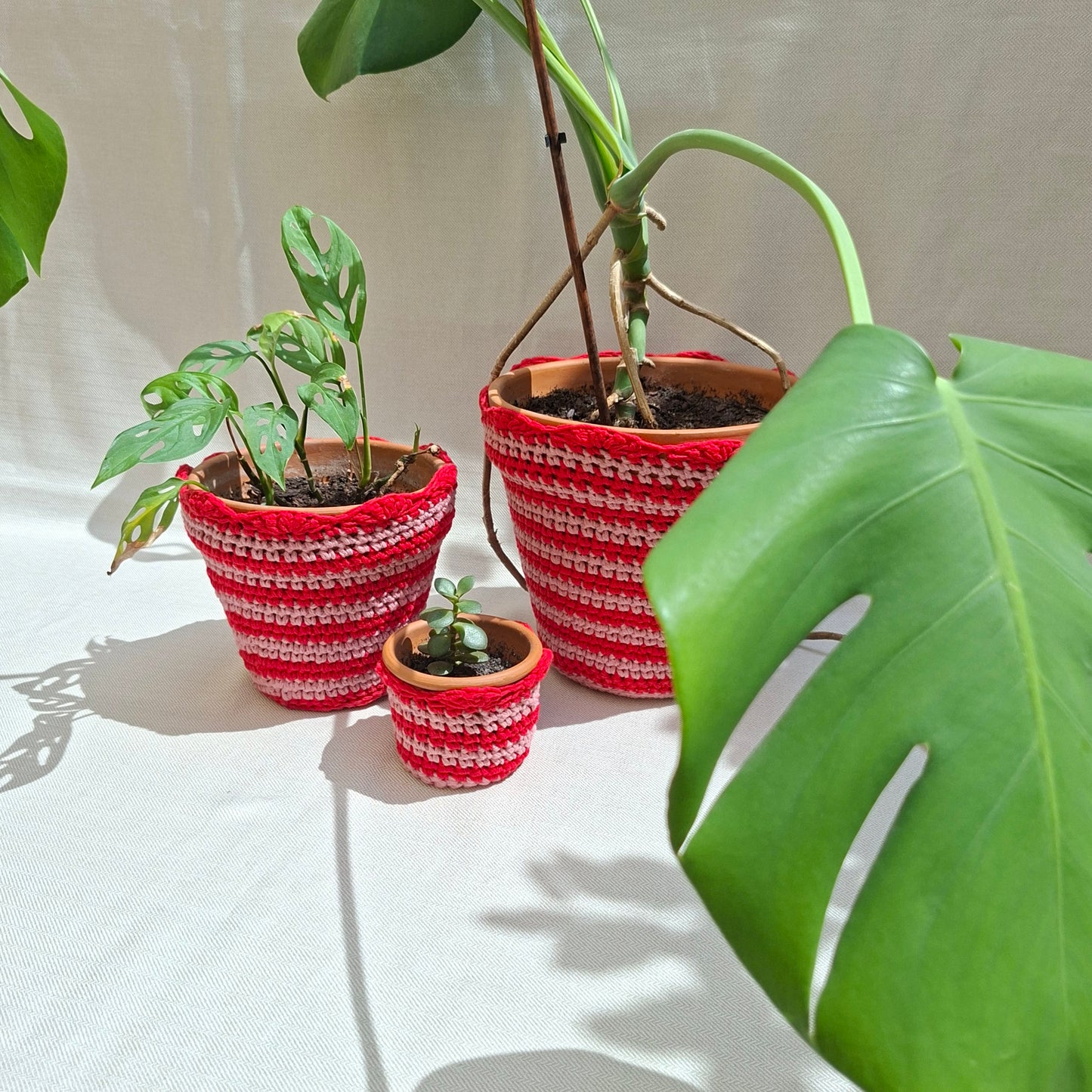 Cache-pot rayé en crochet