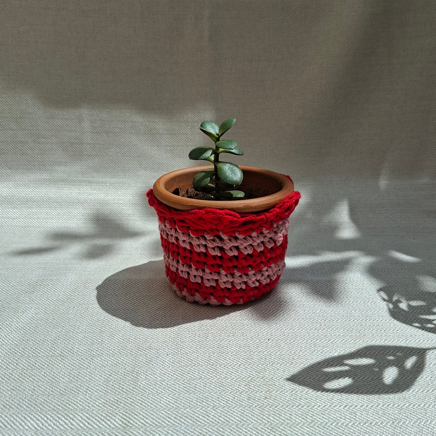 Cache-pot rayé en crochet
