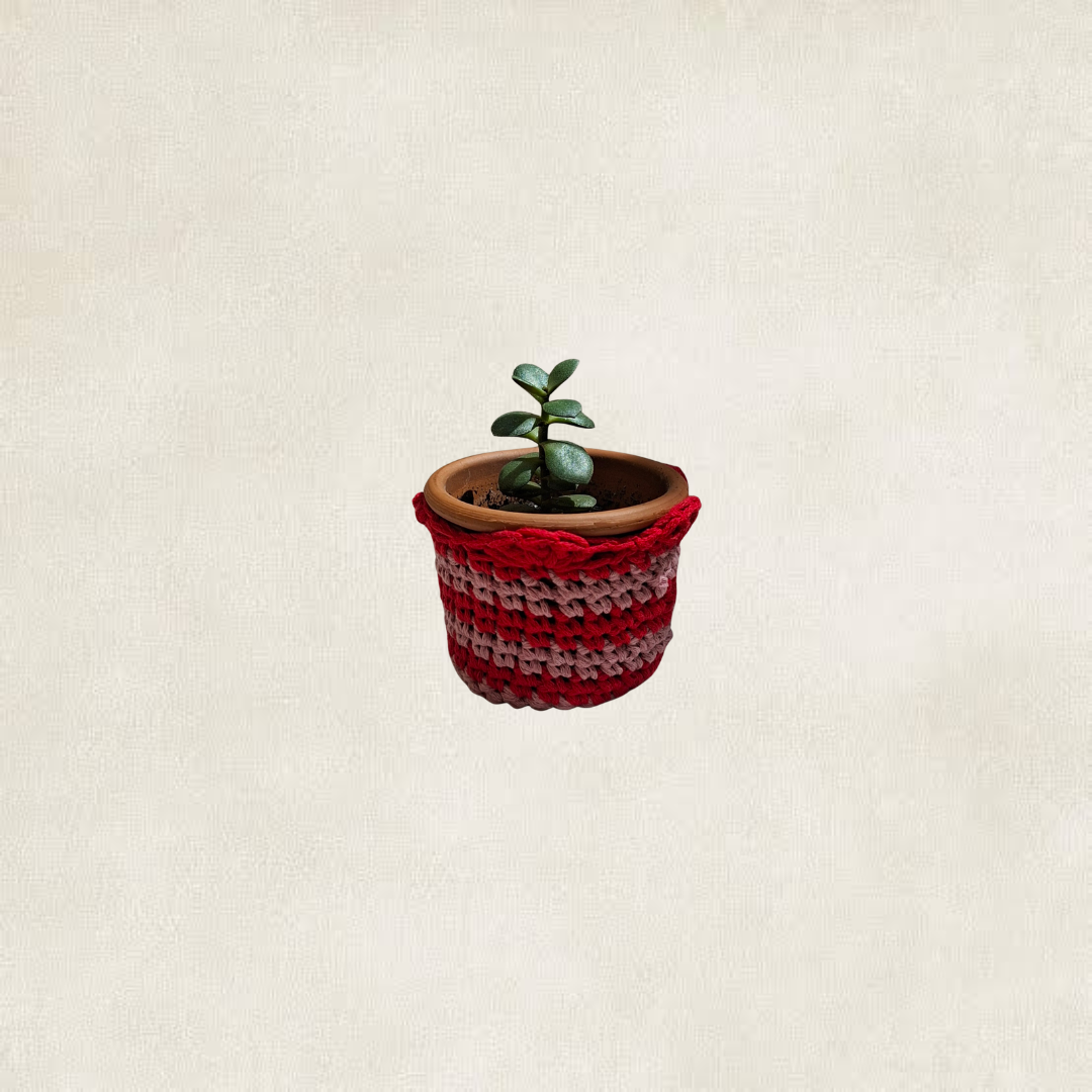 Cache-pot rayé en crochet